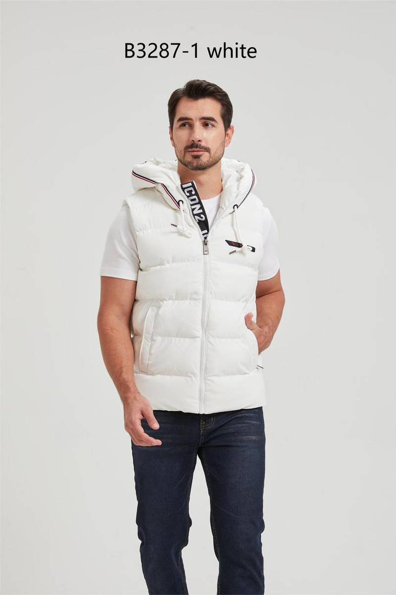 Icon2 Gillet